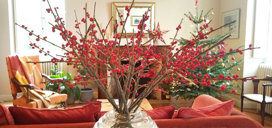 Red berries in vase and Christmas tree.