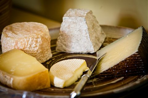 five local cheeses on a plate.