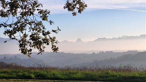 vue des Pyrénées depuis la propriété de Clos MIrabel